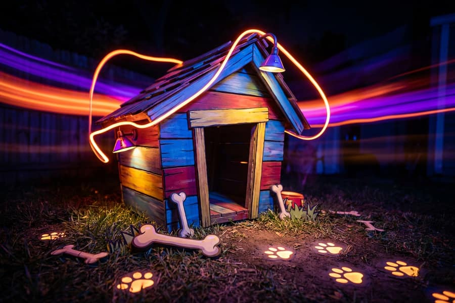 Слот Dog House с собаками